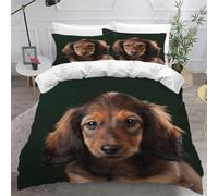 Dachshund Single Duvet Cover Set Cute Pets Bedding Set 3D Print Soft Microfiber Quilt Covers 135x200 cm with Zipper Closure and 2 Pillowcases 50x75 cm for Kids Teens E.1568