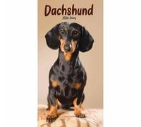 Dachshund Slim Diary 2026, General Diaries, Two Week To View, Dogs, Gift