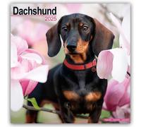 Dachshund Wall Calendar Month to View Calendar 2025