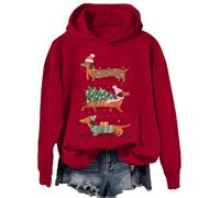Dachshund Through The Snow Sweatshirt Christmas Dachshund Hoodie