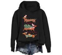 Dachshund Through The Snow Sweatshirt Christmas Dachshund Hoodie