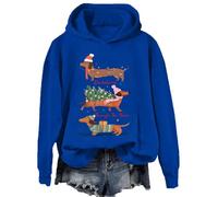 Dachshund Through The Snow Sweatshirt Christmas Dachshund Hoodie