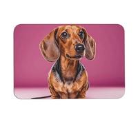 Dachshund Weiner Dog Diatom Mud Bath Mats Absorbs Moisture and Dirt,Door Mat with Non-Slip Rubber Backing,Floor Mat Fit Under Door, for Bathroom Floor, Tub, Shower, Sink