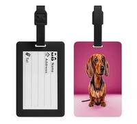 Dachshund Weiner Dog Luggage Tags Suitcases - TPU Travel Bag Tags with Name Id Label and Black Loop - Unique Cute Id Labels for Women Men Suitcase Baggage Bag Backpack Instrument