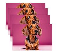 Dachshund Weiner Dog Placemats 30x45cm*4 Linen Heat Resistant Placemats Waterproof Table Place Mats Washable Wipeable Outdoor Placemat for Kitchen Dining Room Table Decorations
