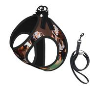 Dachshund Weiner dog print Dog Harness, 2X Buckle,Dog Vest,No Pulling Front Leash Clip,for Small Medium Dogs