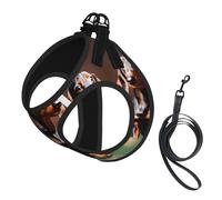 Dachshund Weiner dog print Dog Harness and Leash Set, Reflective Adjustable Puppy Vest for Small Medium Large Dogs, Cats
