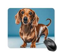 Dachshund Weiner Pet Dog Mouse Pad Square Mice Mat Waterproof Computer Mousepad with Non-Slip Rubber Base Wireless Mice Pad for Laptop Office Home Personalized Gaming Mousepad 25 * 30cm