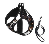 Dachshund Weiner Pet Dog print Dog Harness and Leash Set, Reflective Adjustable Puppy Vest for Small Medium Large Dogs, Cats