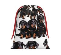 Dachshund Weiner Pet Dog Print Practical Drawstring Gift Travel Pouches Men Women Multiple Occasion Daily Carry