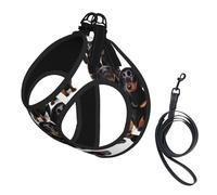 Dachshund Weiner Pet Dog Print Soft Mesh Dog Harness and Leash Set Pet Puppy Cat Comfort Padded Vest No Pull Harnesses