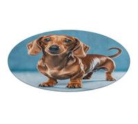 Dachshund Weiner Pet Dog Round Area Rug Non Slip Backing Doormat Water Absorbent Plush Throw Low-Pile Non-Slip Floor Mat Carpet for Living Room Bedroom Entryway Nursery Room 80 * 80cm