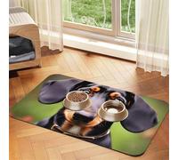 Dachshund Weiner Pet Dogs print Cats Pet Bowl Placemat Pet Feeding Mats for Dogs, Non-Slip PU Leather Tablecloth for Pets