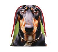 Dachshund Weiner Pet Dogs Print Practical Drawstring Gift Travel Pouches Men Women Multiple Occasion Daily Carry