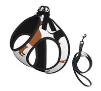 Dachshund Weiner Pet Dogs Printed,Pet Harness,Adjustable Reflective Dog Harness,Pet Leash Vest,M