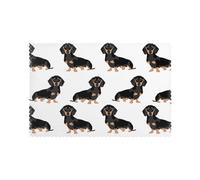 Dachshund Weiner Pet Dogs Printed Placemats Set of 6Pcs Washable Place Mats for Kitchen Table Heat-resistand Table Mats 45x30 CM