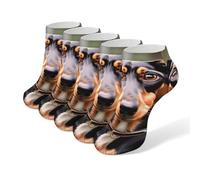 Dachshund Weiner Pet Dogs Socks No Show Socks Low Cut Anti-Slid Athletic Casual Invisible Liner Socks Unisex