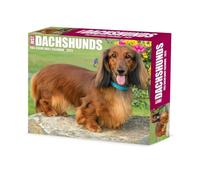 Dachshunds 2025 Box