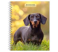 Dachshunds | 2026 6 x 7.75 Inch Spiral-Bound Wire-O Weekly Engagement Planner Calendar | New Full-Color Image Every Week | BrownTrout | Animals Dog Breeds Pets