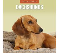 Dachshunds - 2026 Square Wall Calendar - by Red Robin Publishing