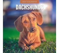 Dachshunds - 2027 Square Wall Calendar - by Red Robin Publishing