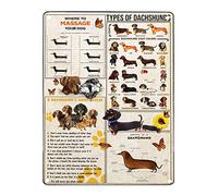 Dachshunds Knowledge Metal Sign Infographic About Dachshunds Poster Plaque For Home Club School Education Wall Art Decor 8x12 Inches