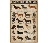 Dachshunds Knowledge Metal Tin Sign Types Of Dachshunds Retro Poster School Farm Pet Shop Cafe Bedroom Bathroom Kitchen Home Art Wall Decoration Plaque 8" x 12"