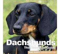 Dachshunds: The Essential Guide