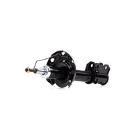 DACO Germany 453646 Shock absorber