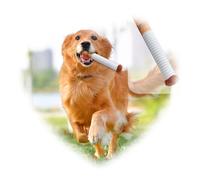 DACONGMING Dog Toy Chew Toy in the Shape of Cigarette Funny Plush Toy for Dogs, Indestructible Dog Toy, Interactive Toy, Dog Gift