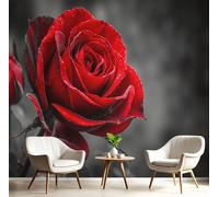 DACRWEKZ 3D Panoramic Custom Wallpaper Mural Bright Roses Pattern,Black and red 350x256cm,Realistic Flowers Wallpaper Mural, Living Room, Bedroom, Office Home Decoration