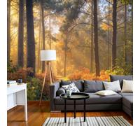 DACRWEKZ 3D Panoramic Forest Scenery Wallpaper Murals, Beams On The Forest Path Silk Wall Murals, Modern Living Room Kitchen Dining Room Bedroom Wall Mural Wallpaper 250x175cm
