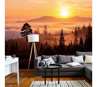 DACRWEKZ 3D Panoramic Wall Mural Sun Cloud Forest Photo Wallpaper, Natural Landscape Photo Wallpaper Silk Wall Art, Orange Color Mural for Bedroom Living Room Decor 350x256cm