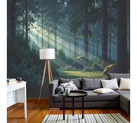DACRWEKZ 3D Panoramic Wall Mural Sunlight Filters Through The Tree Canopy Photo Wallpaper, Forest Scene Photo Wallpaper Silk Wall Art, Green Mural for Bedroom Living Room Decor 400x280cm