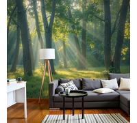 DACRWEKZ 3D Panoramic Wallpaper Mural,300x210cm Wall Poster Yellow-Green Sunlight Shines Through The Leaves Print Design Photo Effect,Nature Photography Decoration for Bedroom Dining Room Feature