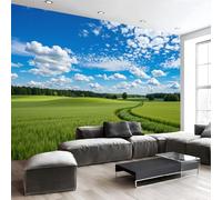 DACRWEKZ 3D Panoramic Wallpaper Mural,350x256cm Wall Poster Blue-Green Summer Sky and Fields Print Design Photo Effect,Pastoral Scenery Decoration for Bedroom Dining Room Feature