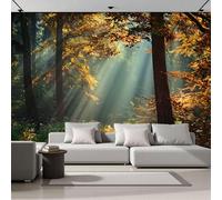 DACRWEKZ 3D Panoramic Wallpaper Mural, 400x280cm Wall Poster Landscape Photography Photo Effect, Golden Yellow Sunlight Filtering Through The Trees Decoration for Bedroom Living Room Corridor