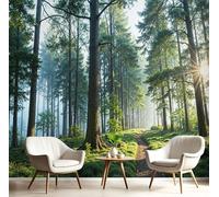 DACRWEKZ 3D Wall Mural Green Forest Paths Photo Wallpaper, Light and Shadow Photography Style Silk Wall Mural Decoration Poster Picture Design Modern 350x256cm