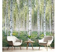 DACRWEKZ 3D Wall Mural White Birch Forest Grassland Photo Wallpaper, Landscape Illustrations Silk Wall Mural Decoration Poster Picture Design Modern 450x315cm