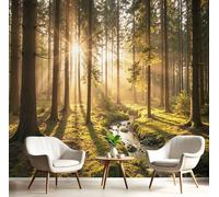 DACRWEKZ Golden Yellow wall Wallpaper Mural Sunlight On The Forest Stream Premium Silk Wallpaper Mural for Bedroom livingroom Wall Landscape Photography Art Print Murals Wallpapers 200x140cm