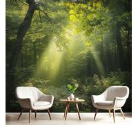 DACRWEKZ Green wall Wallpaper Mural Sunlight Filters Through The Forest Premium Silk Wallpaper Mural for Bedroom livingroom Wall Landscape Photography Art Print Murals Wallpapers 250x175cm