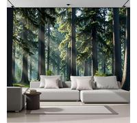 DACRWEKZ Natural Scenery Mural Wallpaper 200x140cm - Sunlight Filters Through The Tree Canopy Wall Mural, Green, Silk Photo Wallpaper 3D Effect for Bedroom Living Room Office Decoration