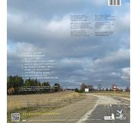 Dad Horse Experience,the - I am a Stranger Here Below [VINYL]