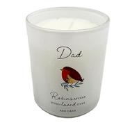 Dad Memorial Robin Wax Candle Graveside Grave Ornament
