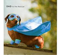 Dad to The Rescue Happy Father's Day Card Photographic Greeting Cards