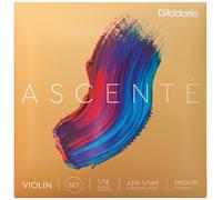 D'Addario Ascenté Violin String Set, 1/16 Scale, Medium Tension