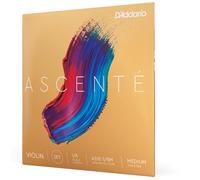D'Addario A310 1/8M Ascenté String Set, 1/8 Scale, Medium Tension