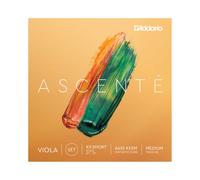 DAddario Ascenté Viola C String XX Short Scale Medium