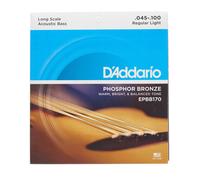 D'Addario Acoustic Bass Guitar Strings - Acoustic Bass Strings - Phosphor Bronze - EPBB170 - Acoustic Bass Guitar 4 String Set - 45-100 Gauge - 1 Pack