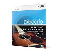 Daddario EFT16